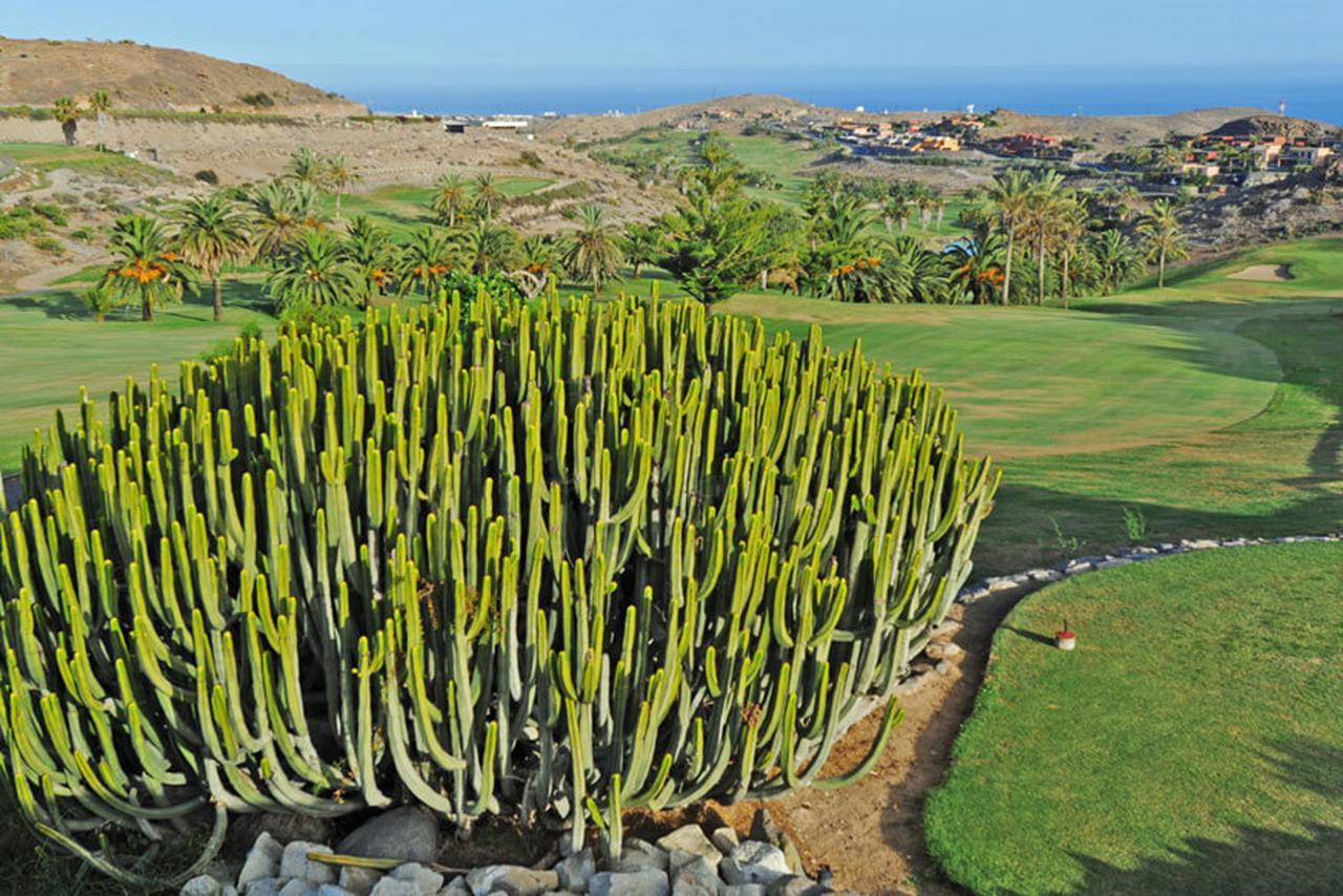 Salobre Las Terrazas 10 Maspalomas  Exteriör bild